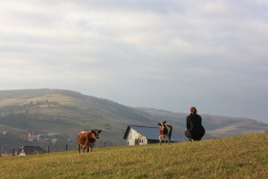Wyjazd-RR (2) 